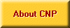 Company Description