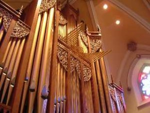 Organ Case